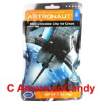 Astronaut Mint Chocolate Chip Ice Cream
